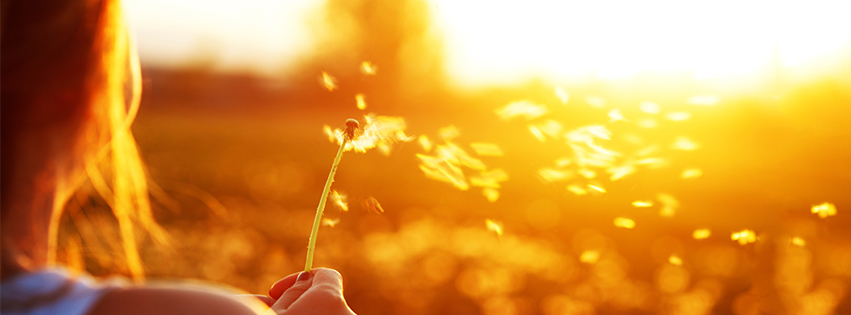 Choosing Sunshine — banner artwork